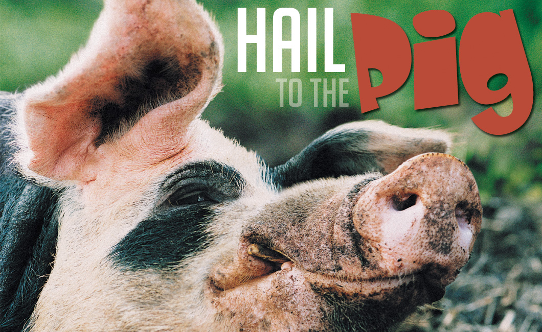 Hail_to_the_Pig_Header_2015.jpg