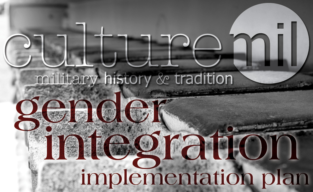 Gender_Integration_Implementation_Plan_Header.jpg