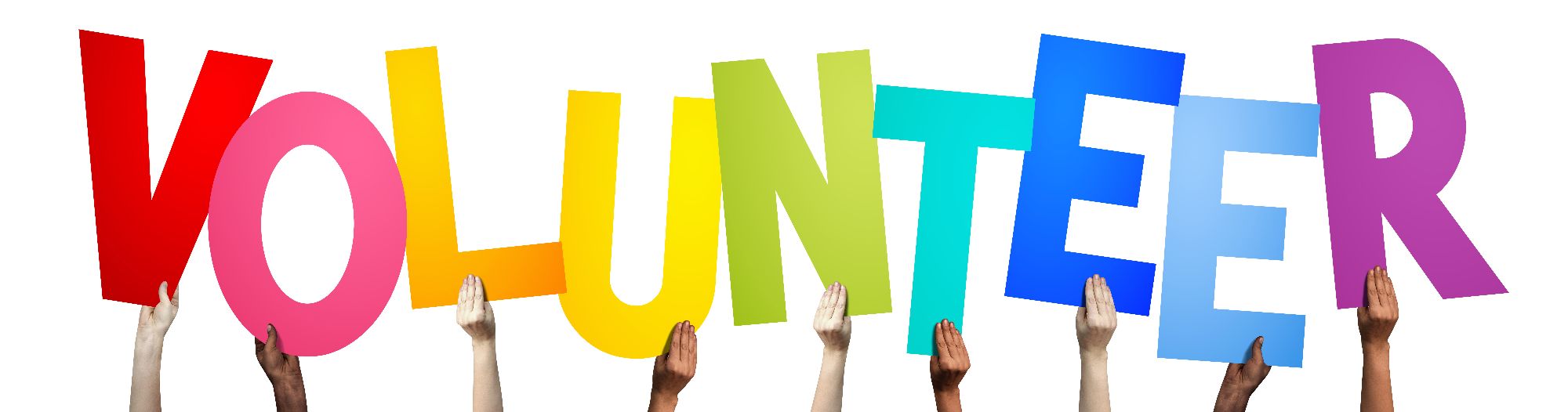 3137_Volunteer Article Support.jpg